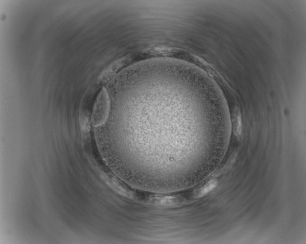 X0000080690472200612221057