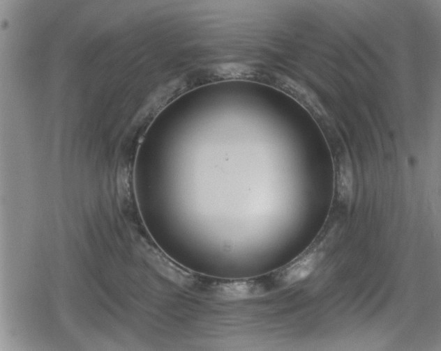 X0000080690473200612221057