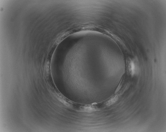 X0000080690475200612221057