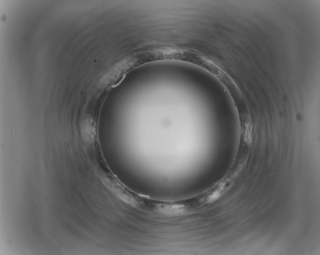 X0000080690476200612221057