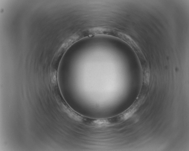 X0000080690477200612221057