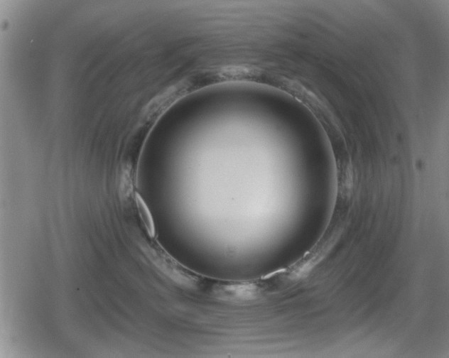 X0000080690478200612221057