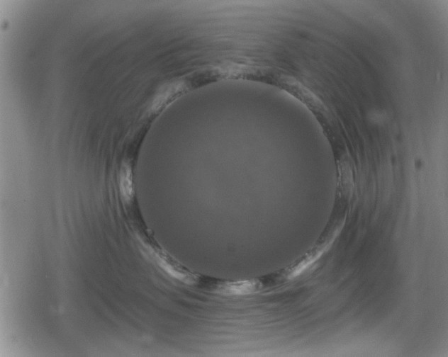 X0000080690479200612221057