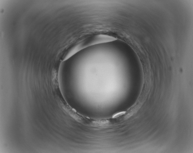 X0000080690480200612221057