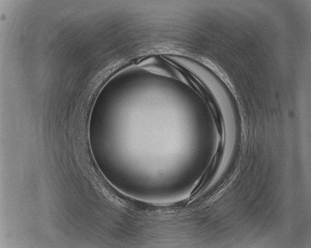 X0000080690481200612221056