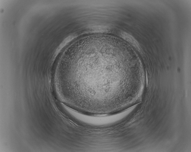 X0000080690483200612221056