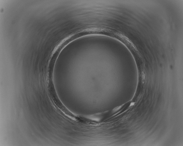 X0000080690484200612221056