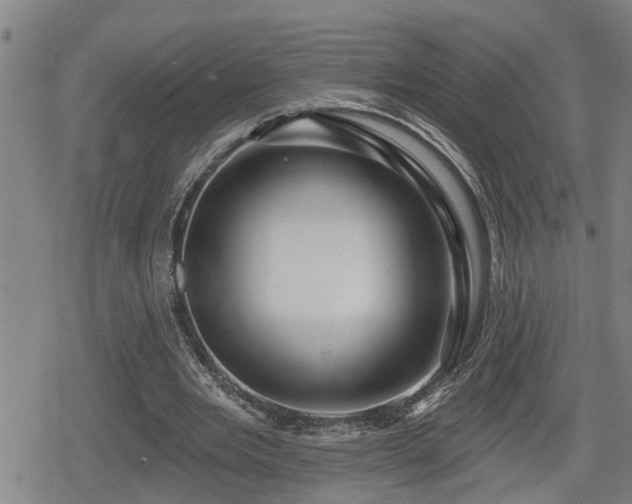 X0000080690485200612221056