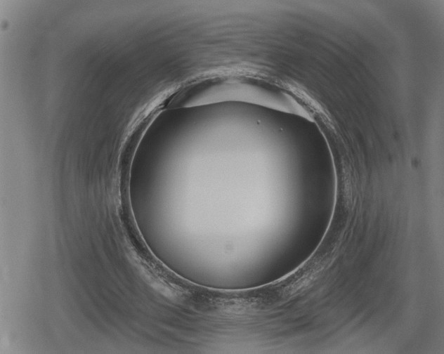 X0000080690486200612221056