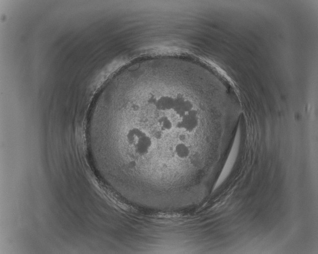 X0000080690487200612221056