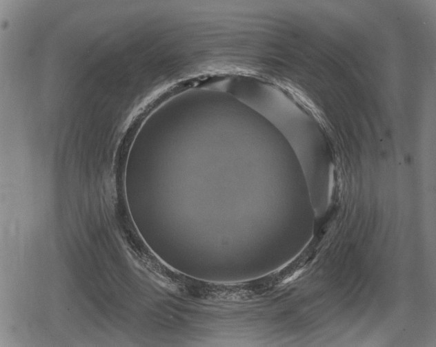 X0000080690488200612221056