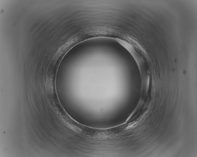 X0000080690489200612221056