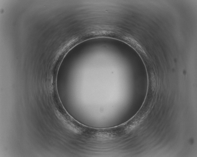 X0000080690490200612221056