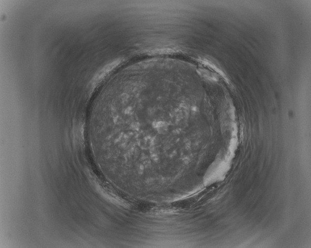 X0000080690491200612221056