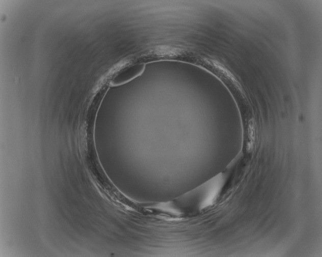 X0000080690492200612221056