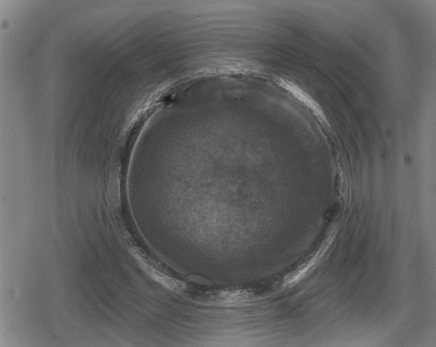 X0000080690493200612221056