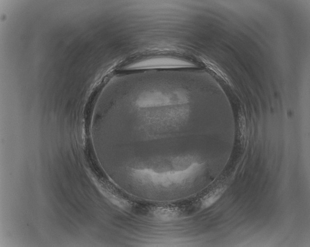 X0000080690494200612221056