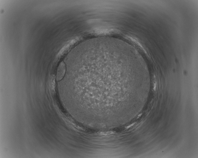 X0000080690495200612221056