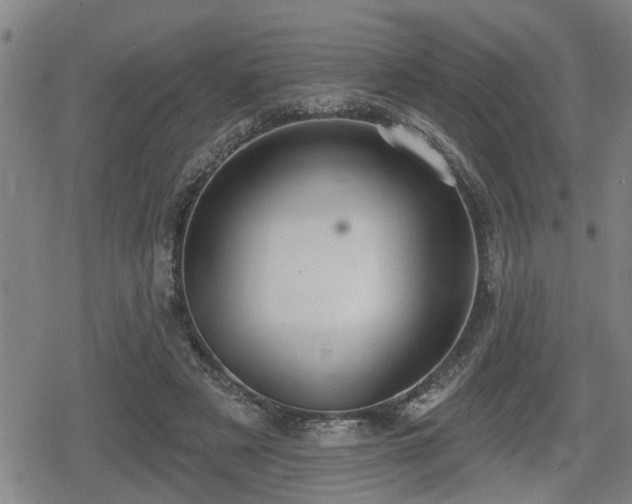 X0000080690497200612221056