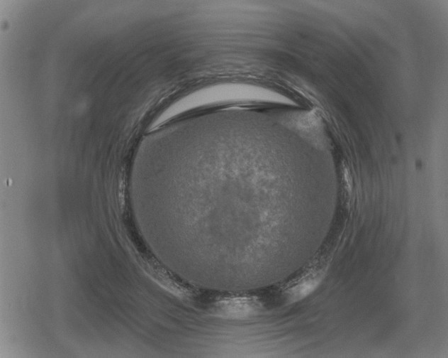 X0000080690499200612221056