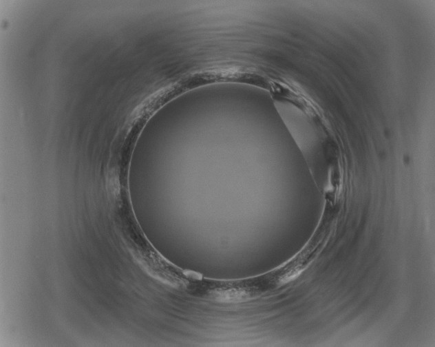 X0000080690500200612221056