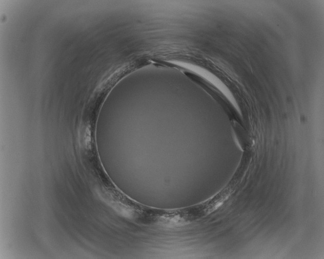 X0000080690502200612221056