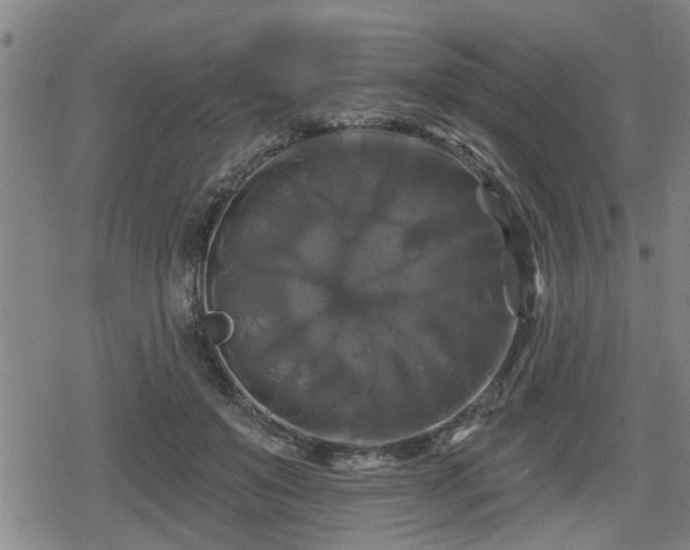 X0000080690503200612221056