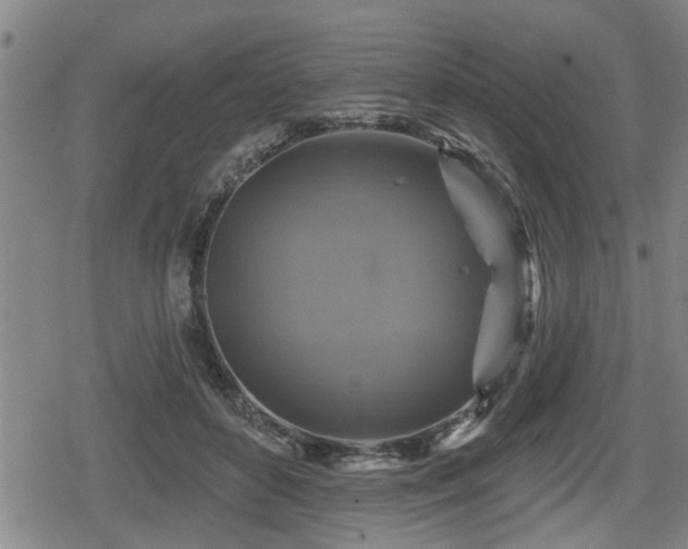 X0000080690504200612221056