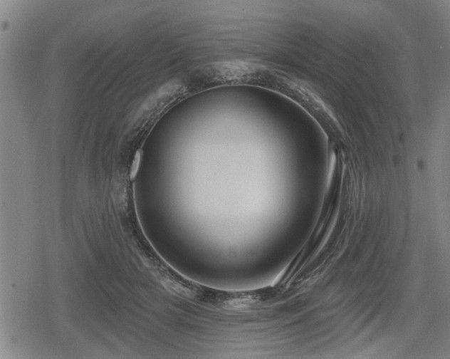 X0000080690505200612221056