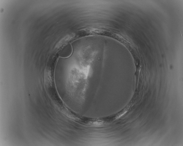 X0000080690506200612221056