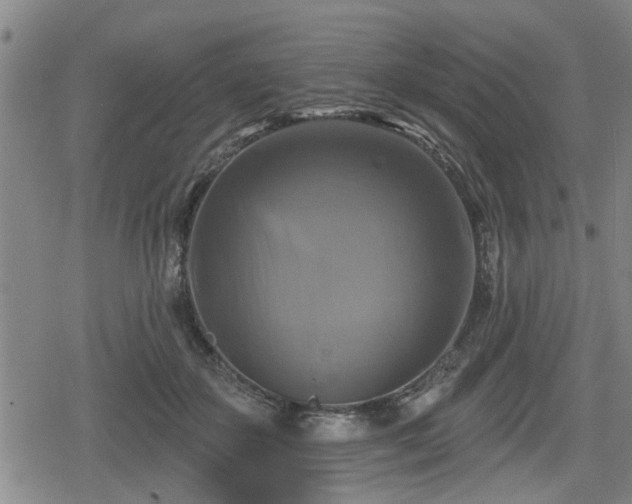 X0000080690507200612221056