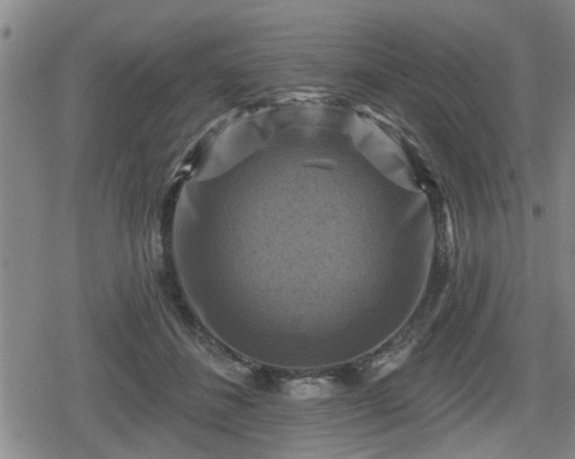 X0000080690508200612221056