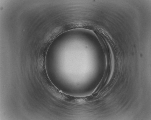 X0000080690509200612221056