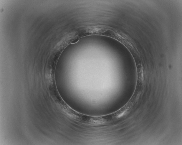 X0000080690510200612221056