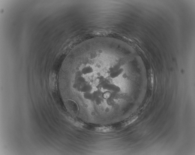 X0000080690511200612221056