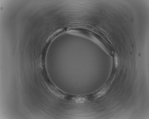 X0000080690512200612221056