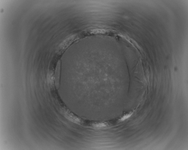 X0000080690513200612221056