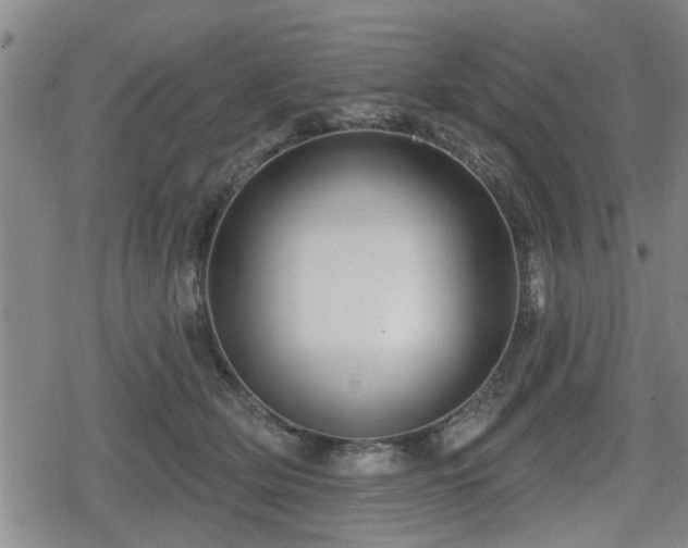 X0000080690514200612221056