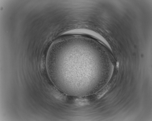 X0000080690515200612221056