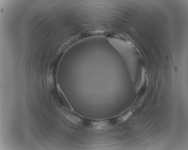 X0000080690516200612221056