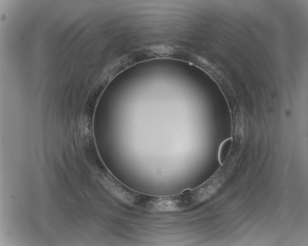 X0000080690518200612221056