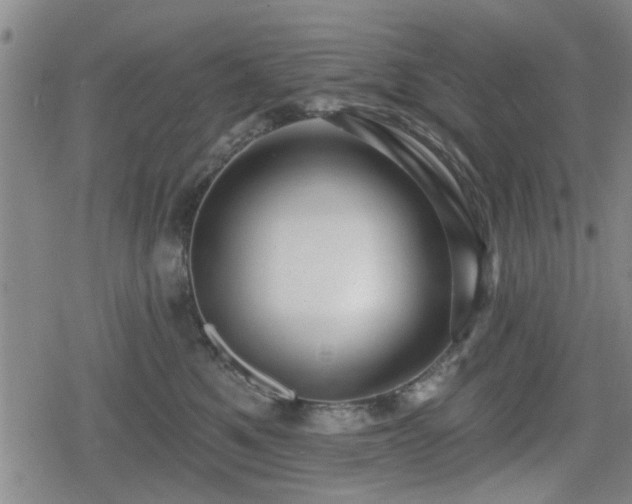 X0000080690521200612221056