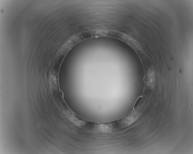 X0000080690522200612221056