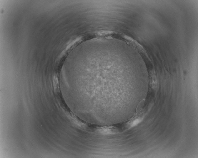 X0000080690523200612221056