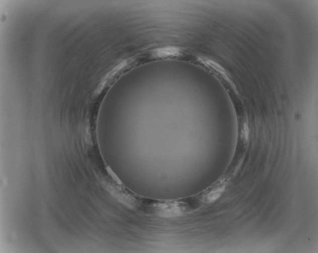 X0000080690524200612221056