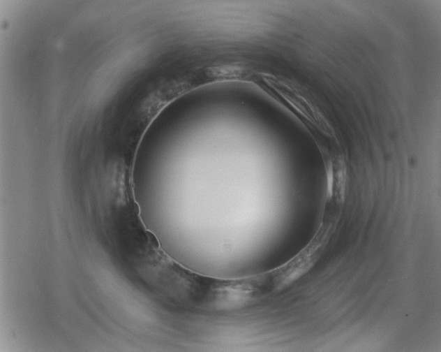 X0000080690525200612221056