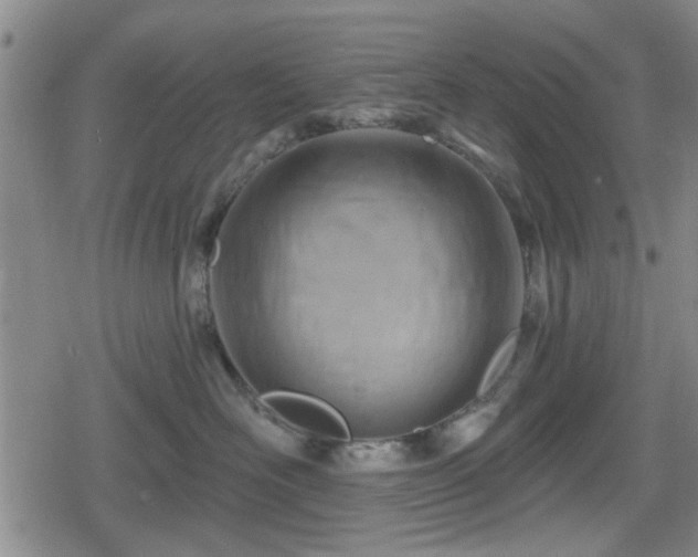 X0000080690526200612221056