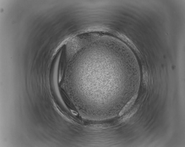 X0000080690530200612221055