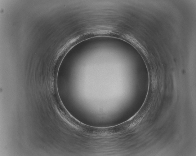 X0000080690533200612221055