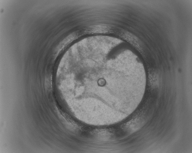 X0000080690534200612221055